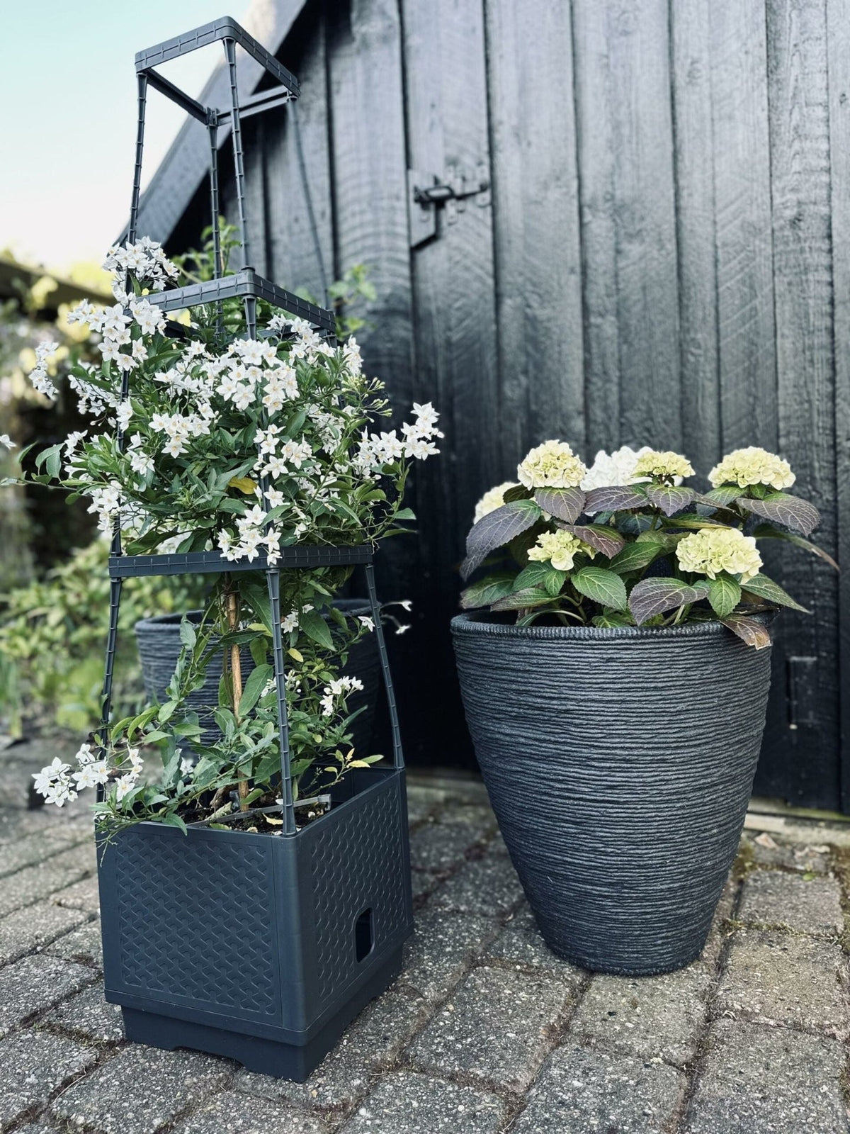 Plantetårn til tomater og klatreplanter - VIAMAJA.DK