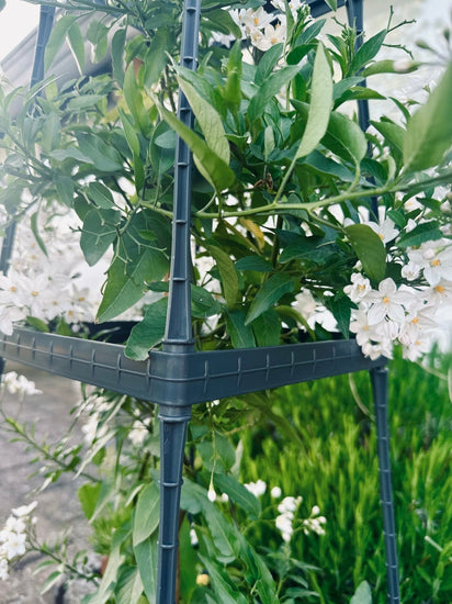 Plantetårn til tomater og klatreplanter - VIAMAJA.DK